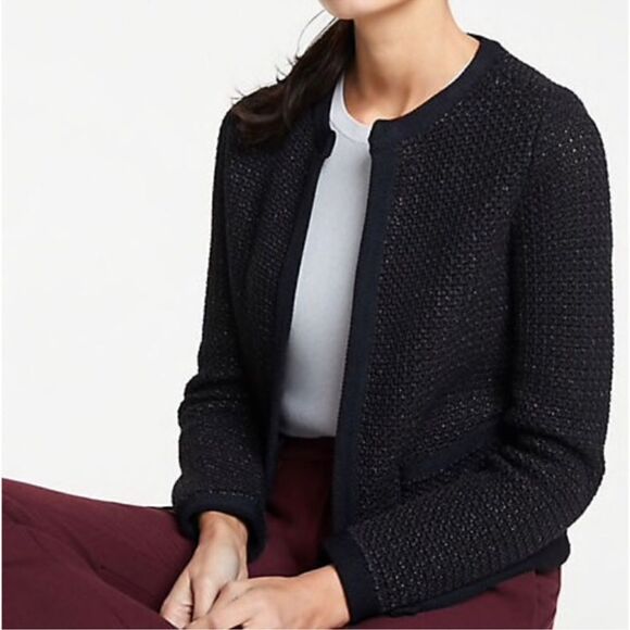 Ann Taylor Shimmer Jacket - Picture 1 of 6